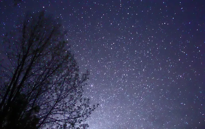 Night Sky Stars Trees 02