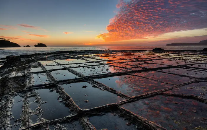 Tessellated Pavement Sunrise Landscape
