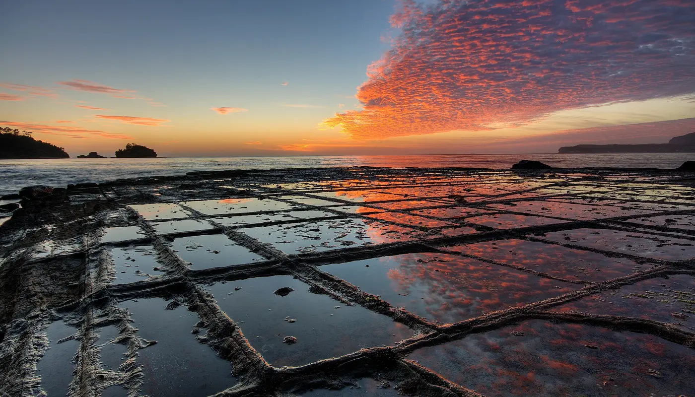 Tessellated Pavement Sunrise Landscape